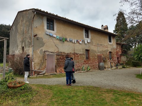 Tempio Di Minerva Medica Montefoscoli