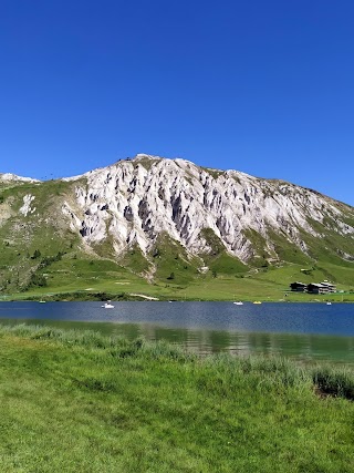 Chalet Le Rosuel