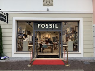 Fossil outlet