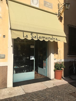 La Salamandra Mantova Gioielli