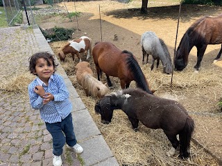 Milano Equestrian Centre