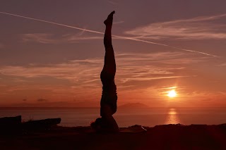 Yogaland - Anna Barosi