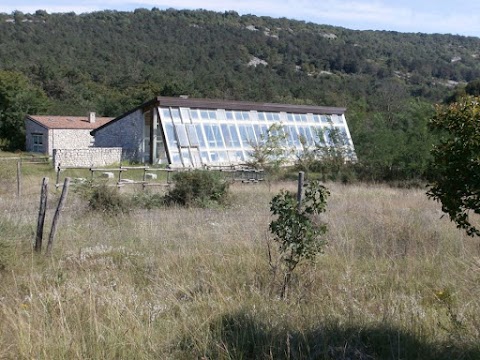 Cento visite Lago Pietrarossa