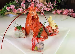 Kioto Sushi Ispra All You Can Eat