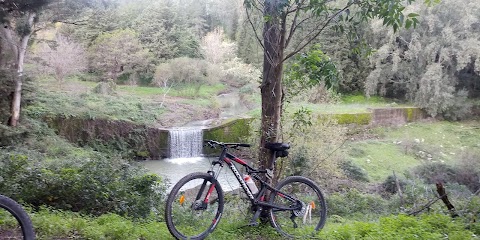 Bosco di Granvilla