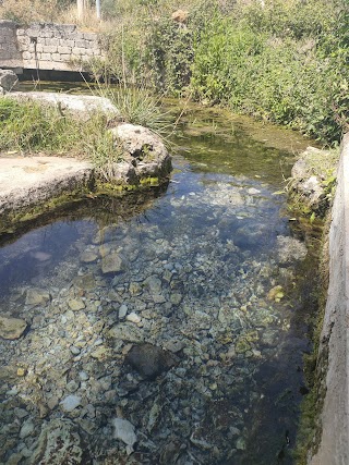 Sorgente fontana della Volpe