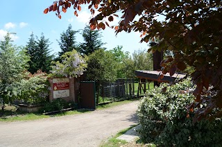 Centro Cinofilo della Viola