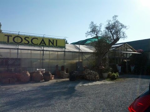 GIARDINI TOSCANI - fioraio, piante e fiori per cerimonie e matrimoni, vivaio