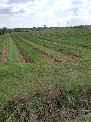 Murari Maria Srl Prodotti per l`Agricoltura e Giardinaggio