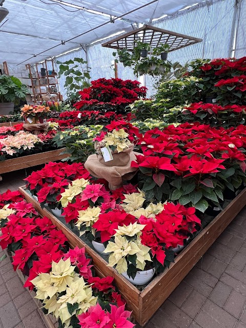 Hortilus Garden Center