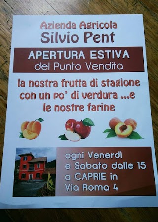 Azienda agricola Silvio Pent