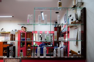 Reina parrucchieri Hair studio