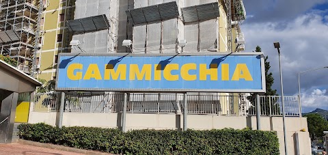 Gammicchia Gomme - Driver Center Pirelli