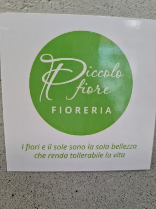 Piccolo Fiore di Zamblera Paolo