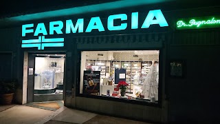 Farmacia Pugnaloni Paola Maria