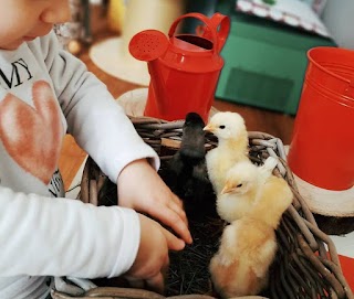 Asilo nido Bosco Fatato servizio educativo domiciliare