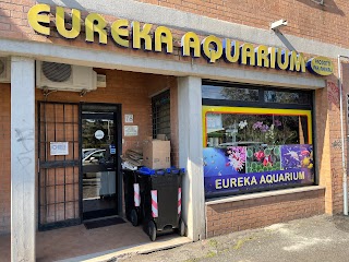 Eureka Aquarium - negozio di acquari, pesci, piante acquatiche, laghetti, accessori