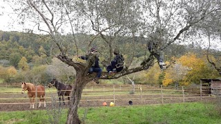 Educazione nel Bosco