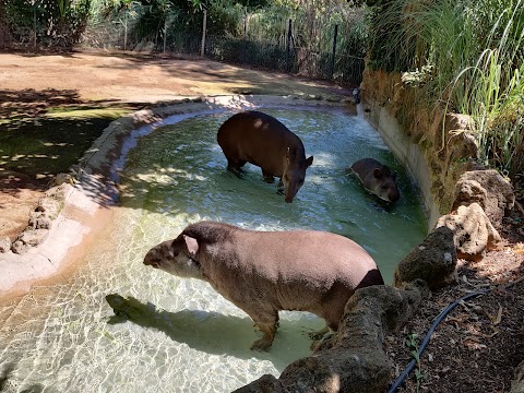 Bioparco di Roma