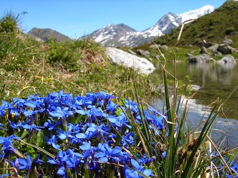 Camping l'Eden de la Vanoise | Camping Savoie