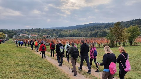 Turistično društvo Brest Brestovica pri Komnu