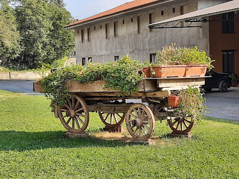 Azienda Agricola San Giuliano di Giai Pier Luigi e figli