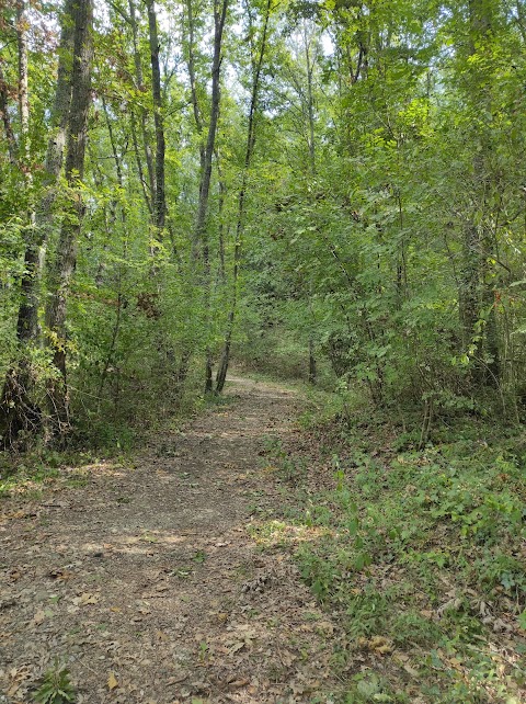 Parco Collinare di Canonica