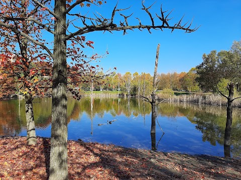 Parco Pubblico Pellerina