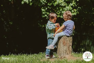 Scuola Il Cucciolo