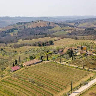 Azienda Vallone di Cecione