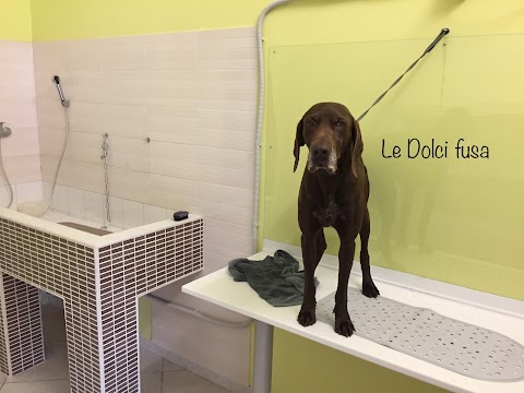 Le Dolci Fusa Pet-Shop Toelettatura Terni