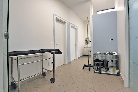 Ambulatorio Veterinario Canali