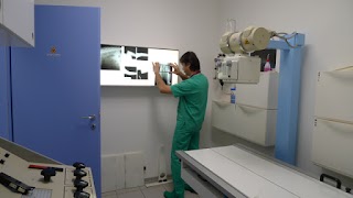 Ambulatorio Veterinario Piccinini