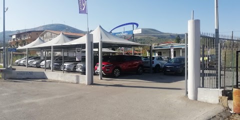 Nuova ZIAUTO Srl