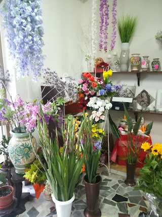 Flower Shop di Ciampi Assunta