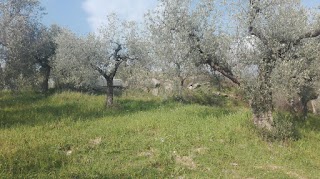 Università Agraria di Corese Terra