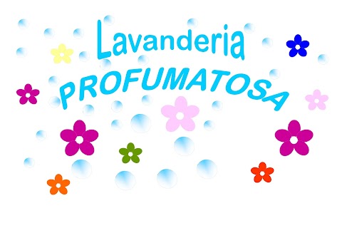 Lavanderia Profumatosa