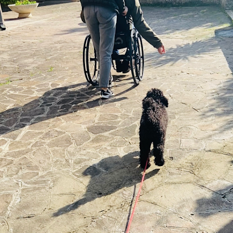 Scuola Cinofila Francesca Melchiorre centro Cinofilo Asilo cani