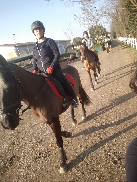 Centro Equestre Le Siepi