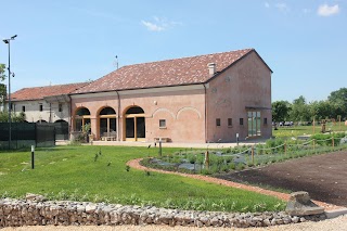 SAN PIO X 1708 Azienda Agricola