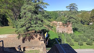 Scuola Di Musica "Rossini"