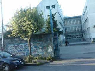 Liceo Scientifico Statale