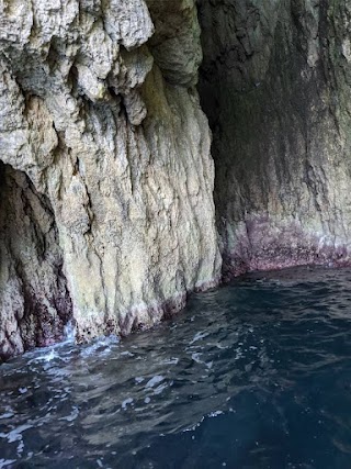 Ortigia Mare Escursioni