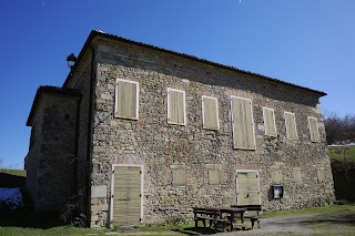 Pieve di San Vitale