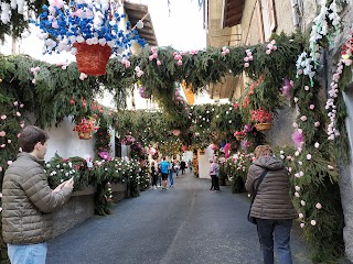 La Gelateria di Minini Luciano