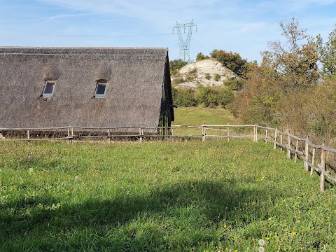 Centro Servizi Monte Bibele