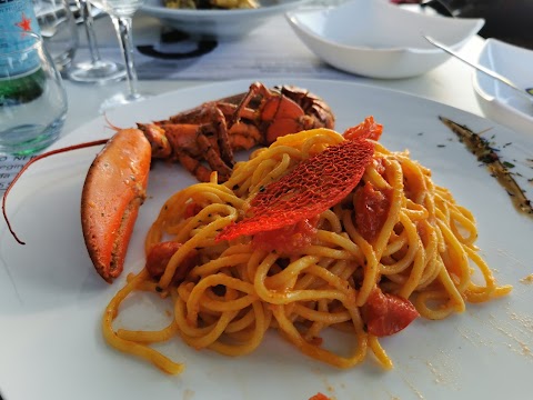 IL Merlo Nero Ristorante