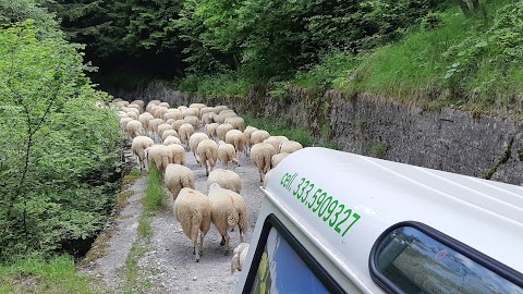 Taxi jeep val D'Ambiez rifugio Cacciatore e avvicinamento rifugio Agostini e Pedrotti