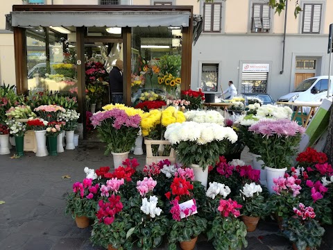 Chiosco Fiori Nencini di Corradossi Grazia