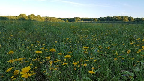 Riserva Naturale Regionale Selva del Lamone